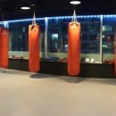 밤짐(BAMGYM) 이미지