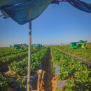 이원재 농장 이미지