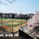 수원베이스볼파크