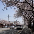 화심천 Daum카페