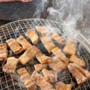 스파고기 이미지