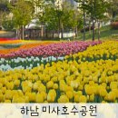 하남동 행정복지센터 공유하남 | 4월 경기도 가볼만한곳 하남 미사호수공원 서울 근교 튤립 명소 꽃구경