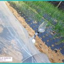 동부농약사 이미지