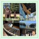 해리안호텔 | [도쿄 여행] 해리포터 스튜디오 내돈내산 후기 1탄｜입장권·굿즈·보관함·관람시간 총정리