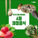 4월 제철 음식 이미지