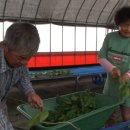 강금자농장 이미지