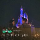 주식회사 세계투어 | 도쿄 디즈니랜드 위크나이트 패스포트로 짧아도 알차게 즐겨요!