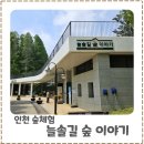 늘솔길숲이야기 이미지