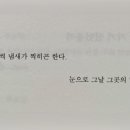 첫페이지 이미지