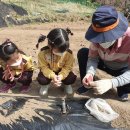 늘푸른어린이집 놀이터 이미지