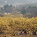 ICHEON10 이미지
