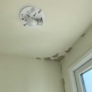 부평로 | [구축 탄성코트] 남양주 더샵 퍼스트시티 아파트 구축 탄성코트 후기 가격공개!!