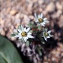 설악한의원 이미지