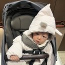 레코어린이집 | 베베노 콧물흡입기 내돈내산 구매, 타치바나 3번째 방문