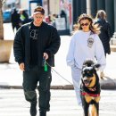 벨라코리아 이미지