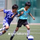 부양초등학교 이미지