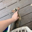 (주)신하남모터풀 | [보홀 3박5일] 2일차 - 헤난 리조트 알로나 비치에서 하루종일 먹고 물놀이 하고 놀기