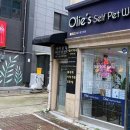 올리스 방이점 이미지