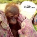 정림로65번길 이미지