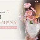 매일꽃직매장