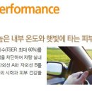 유라이즈