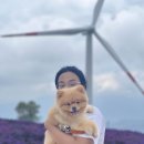 월성오토캠핑장 이미지