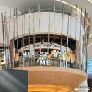 샐러드ME | 잠실 세상의 모든 아침 잠실 for me 약간실망 @ 롯데월드몰 맛집