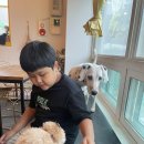 멍떼루와 이미지