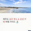 수성교 북서편 교통섬 | 제주도 여행 가이드, 관광지도에 없는 핫플 찾기