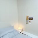 스테이 아삭 이미지