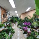 선일화원 이미지