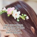 6월 27일(토) 부천중앙공원의 '능소화' 소개 및 '능소화'관련 이야기 이미지
