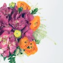 (주)핸드스튜디오 이미지