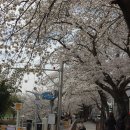 이조참숯갈비 이미지