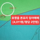 행복로공인중개사사무소 이미지