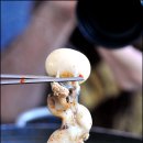 바다의 만찬 이미지