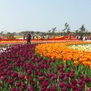 고려여행사