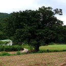 호정농장 이미지