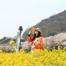 황산공원 이미지