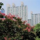 배룡농장 이미지