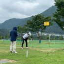 파크골프 이미지