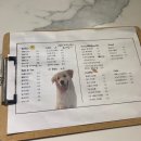 OHT(오해트) 이미지