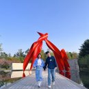 산올라 크리에이티브 | 원주 건축가와 함께 안도 타다오 뮤지엄 산 다녀온 후기!예약, 프로그램, 관람 꿀팁 등 함께 알려드려요