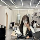 서현애견미용실 이미지