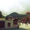 세명복권 이미지
