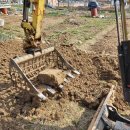 처갓집말뚝 이미지