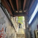 타이하우스 | (2025. 10.) 홍콩여행 베이크하우스, 타이청 베이커리 후기(+꿀팁)