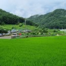 가천면사무소 앞 이미지