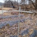 다올목장 이미지