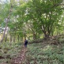 호남농장 이미지